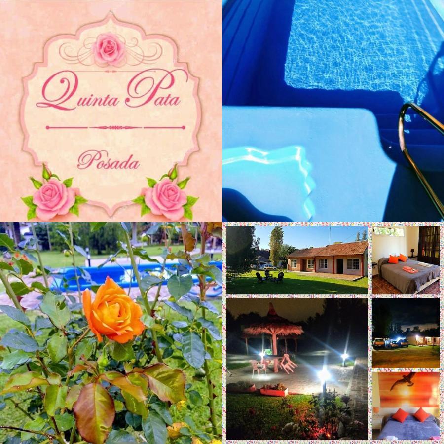 Posada Quinta Pata Ezeiza Esterno foto